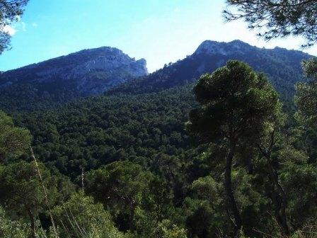 [ASCENSIÓN+AL+MAIGMÓ+057.jpg]