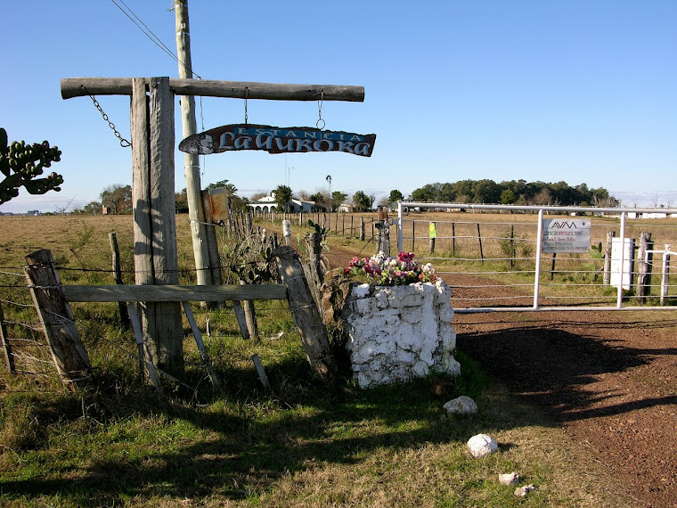 Entrada a ¨La Aurora¨