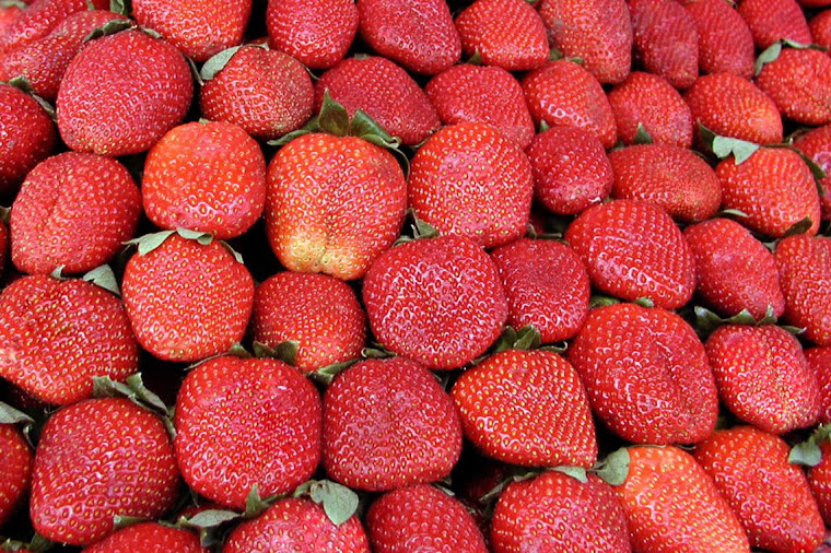 también frutillas... y qué frutillas!