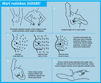 Bentuk Bentuk Payudara