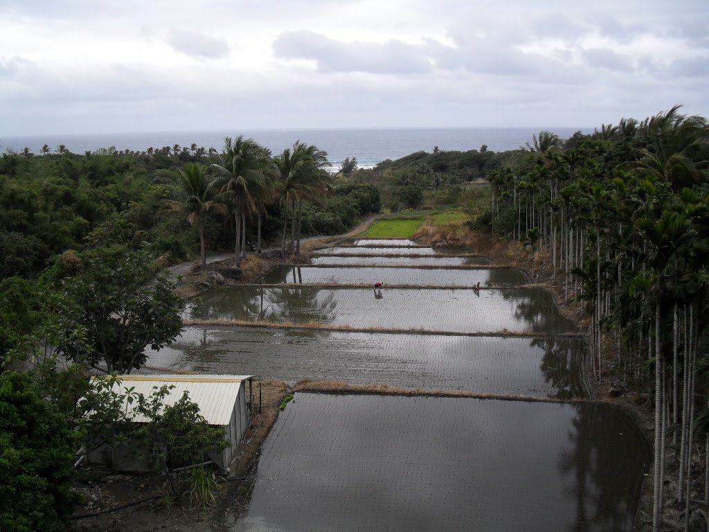 Freelance Flaneur Dulan, where's Ami car?