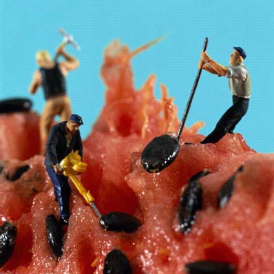 [melon-789980.jpg]