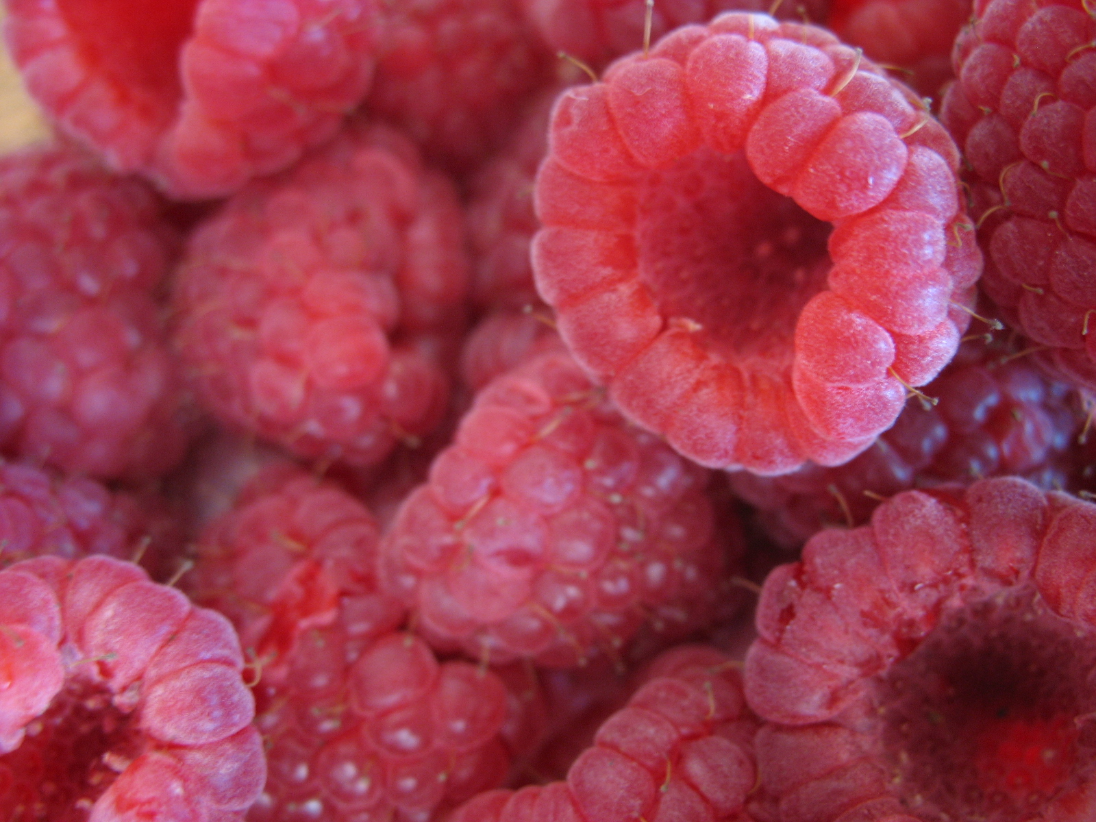 [rasberries.JPG]