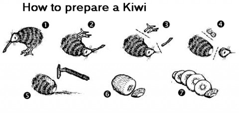 [kiwi.jpeg]