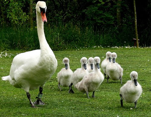 [agile-leadership.jpg]