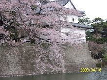 castle in shibata city