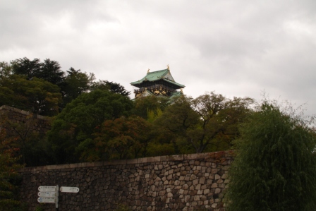 [DSC01374.JPG]