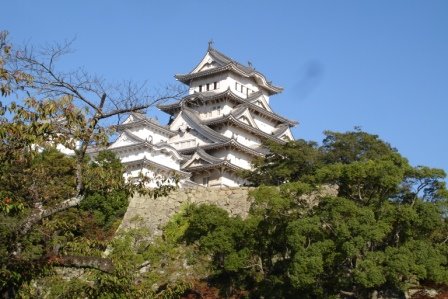 [DSC01582.JPG]