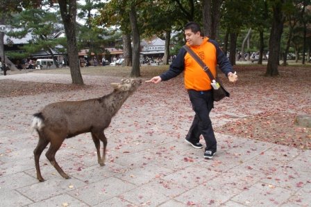 [DSC01972.JPG]