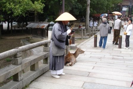[DSC01977.JPG]