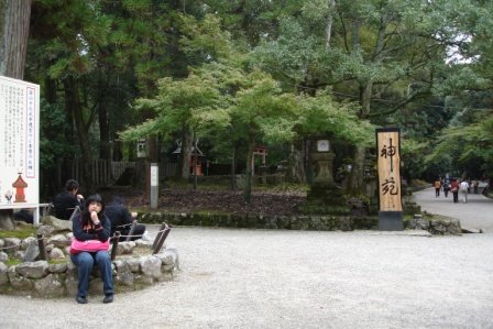 [DSC01897.JPG]