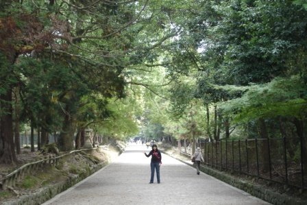 [DSC01893.JPG]