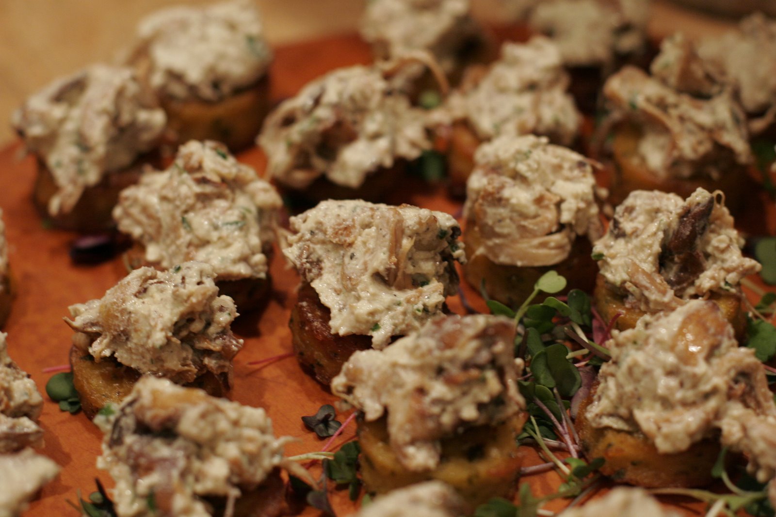 [MushroomSpread.JPG]