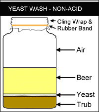 It's 9AM...Where is your yeast?