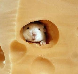 cheese please