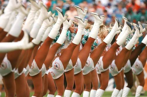 [dolphins+cheerleaders.jpg]