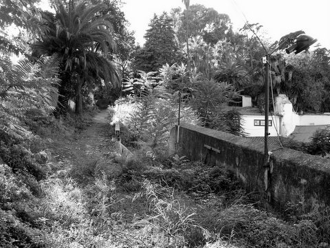 [JB-visto-Parque-Mayer.JPG]