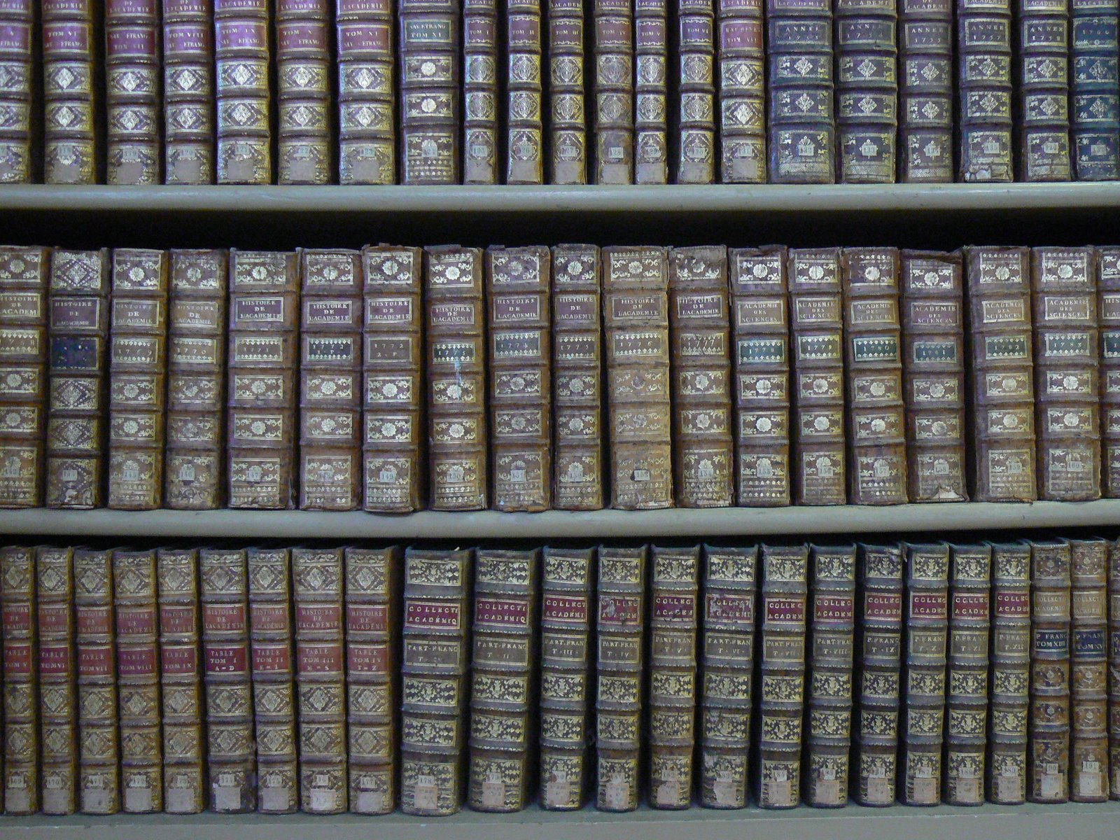 [P1080400.JPG]
