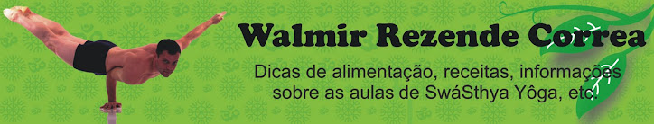 Walmir Rezende Correa