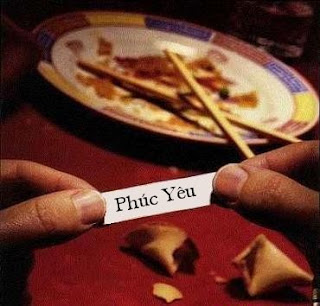 chinese fortune cookie