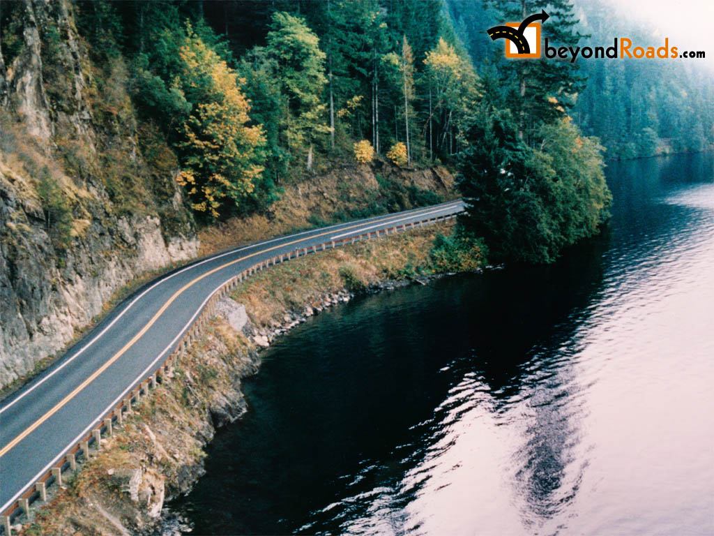 Picture Of Beautiful