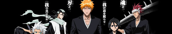 BLEACH VIDEO VAULT