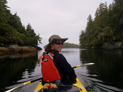 paddling Johnstone Straits