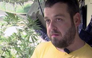 despite obama promise, dea still raids medical pot growers despite obama promise, dea still raids medical pot growers