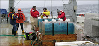 climate 'fix' could poison sea life climate 'fix' could poison sea life
