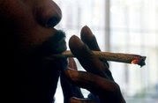cannabis less harmful than drinking, smoking