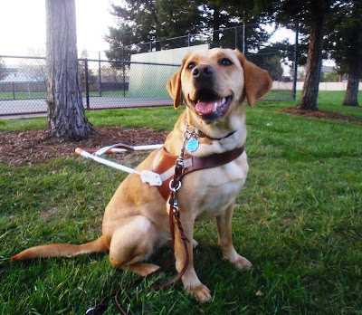Wendy smiling in harness at the park.