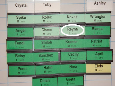 Photo of Reyna's name on the back class board in Boring. Photo credit to Martha G.