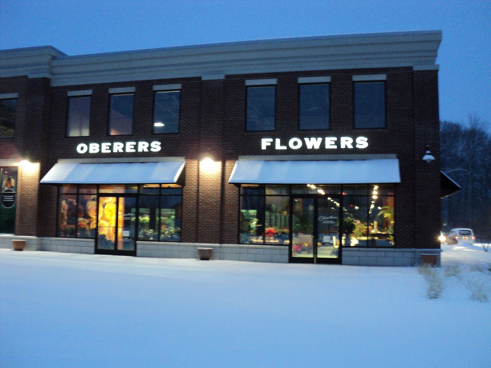 Oberer's Flowers Merry Christmas