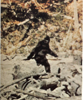 Big Foot Big Foot