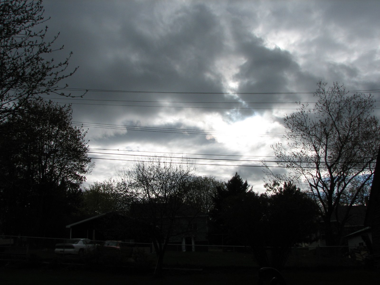 [IMG_1246.JPG]