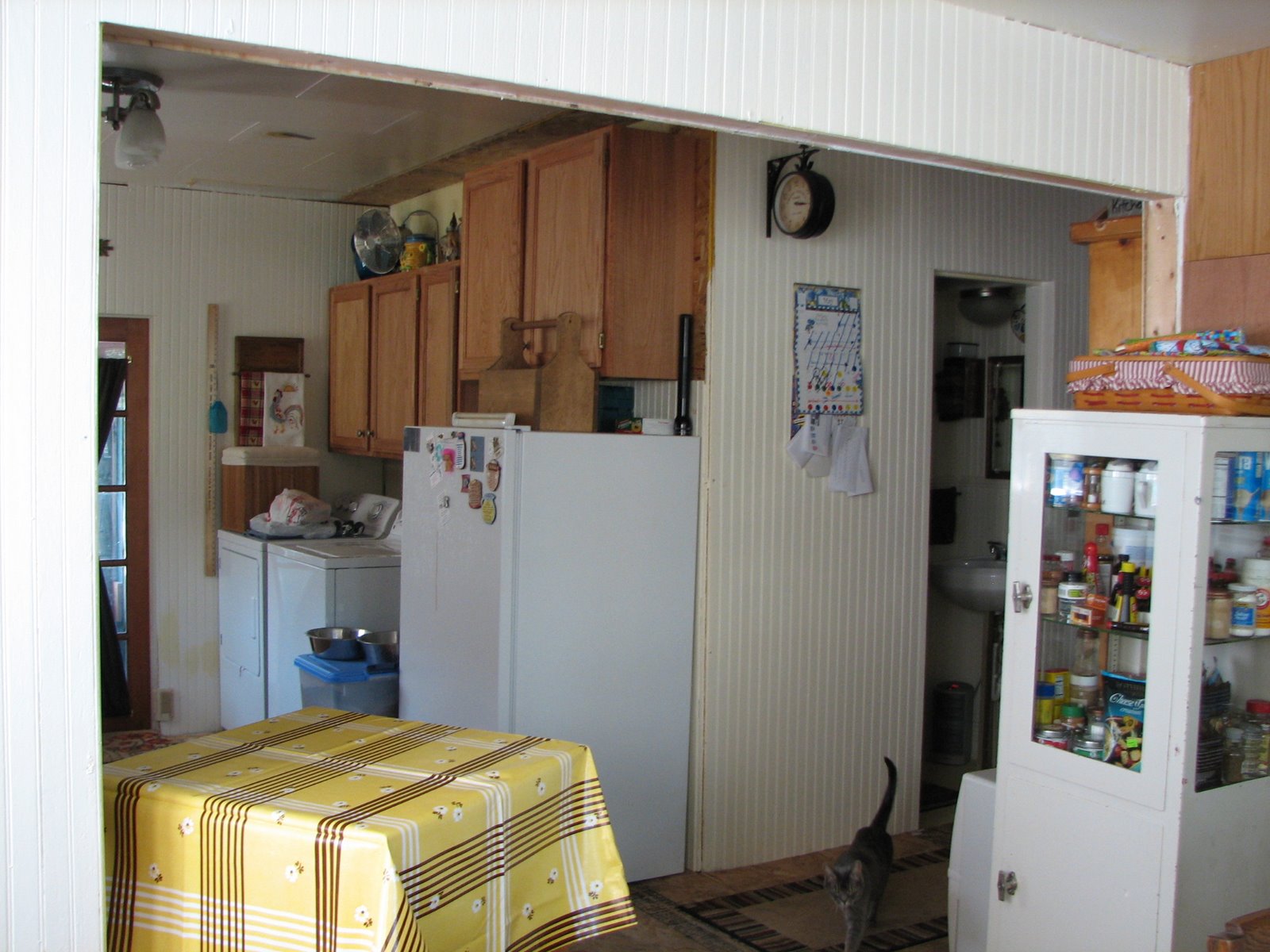 [IMG_1303.JPG]