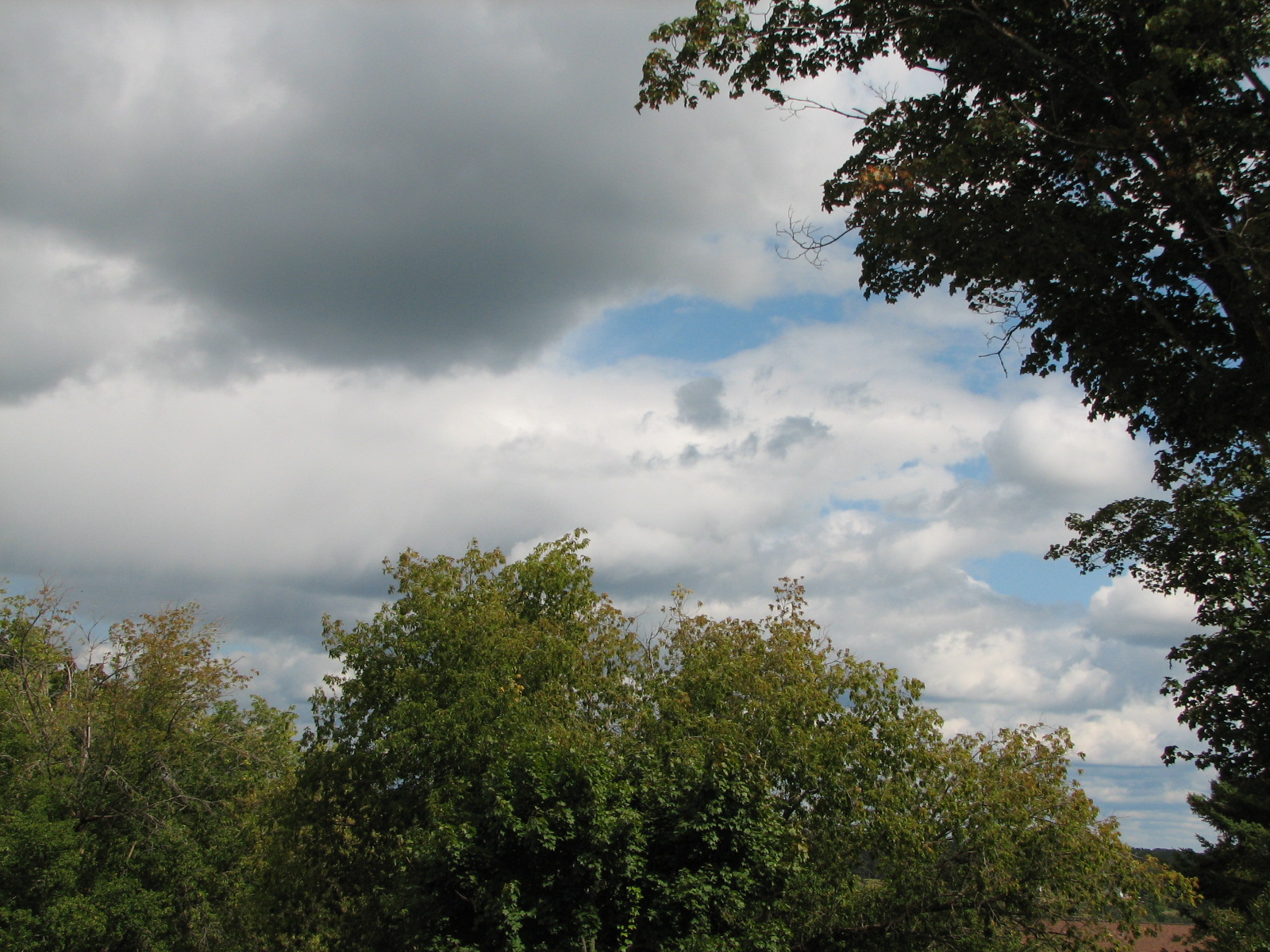 [IMG_3731.JPG]