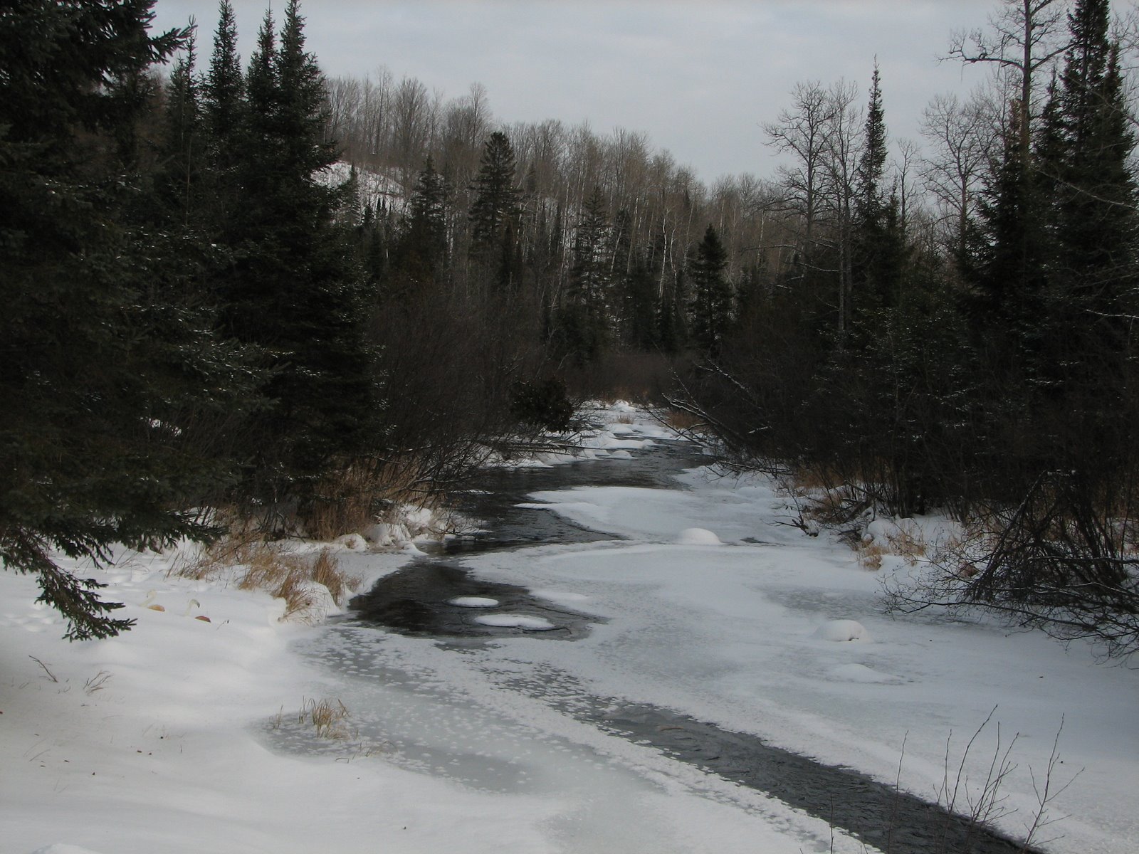 [IMG_4984.JPG]