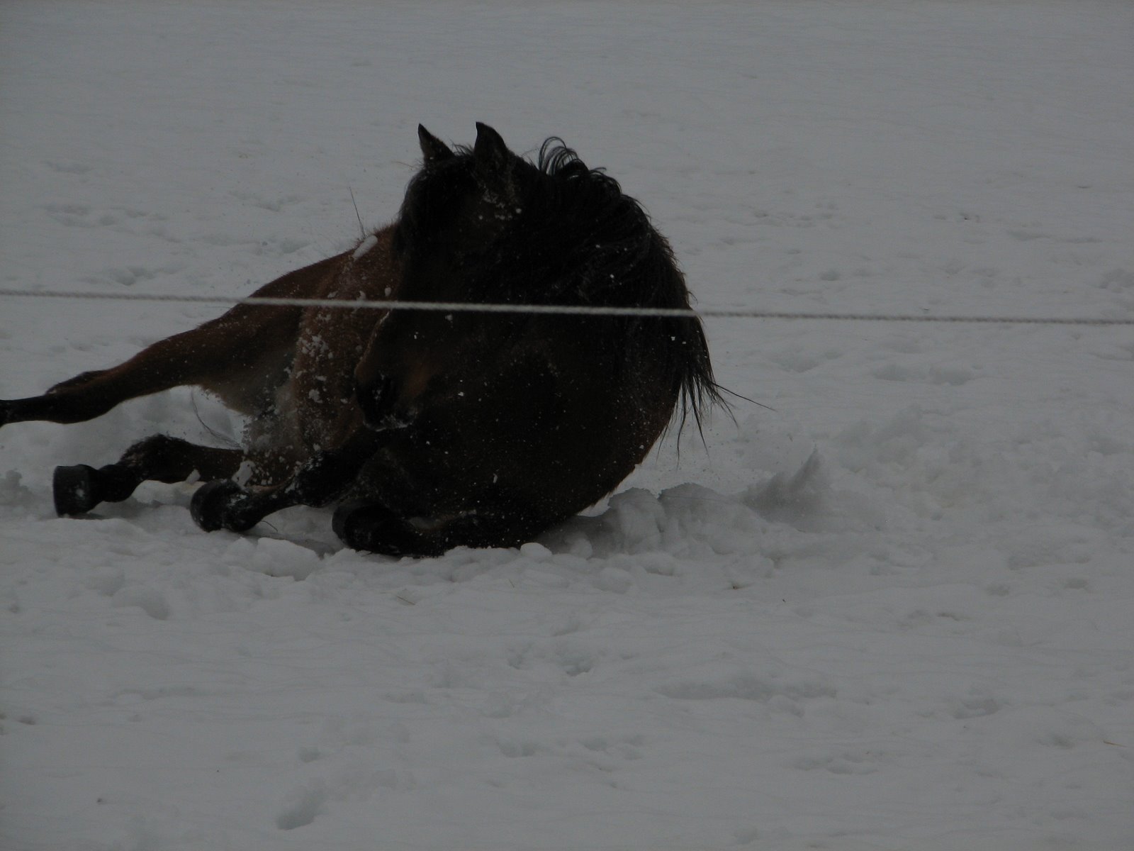 [IMG_5671.JPG]
