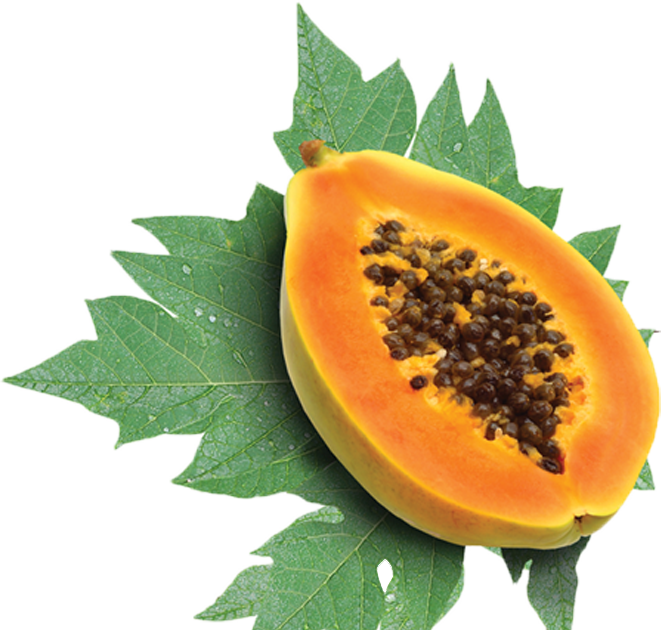 AGRICULTURE Papaya fruit Nature , Types & Nutritional values