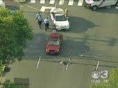 pedestrian hit by drunk driver in south philadelphia near stadium
