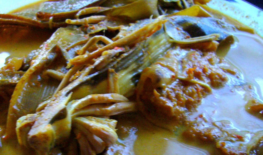 RESEPI MASAK GULAI JANTUNG PISANG ScaniaZ RESEPI MASAK GULAI JANTUNG PISANG ScaniaZ