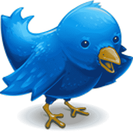 [twitter-logo.gif]