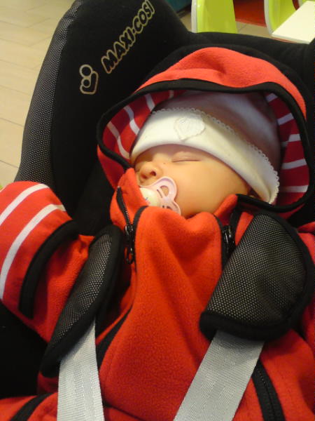 [image-upload-110-712302.jpg]