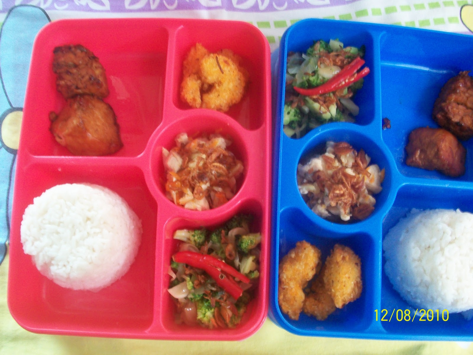 dapur diyan Menu Catering Harian Zan Catering