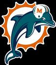 South Florida's Home Town Team