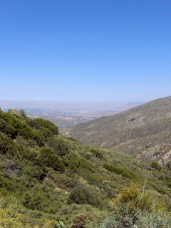 Idyllwild vista
