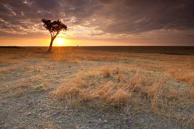 c4 images and safaris, masai mara photographic safari, wildlife photography, masai mara, isak pretorius,