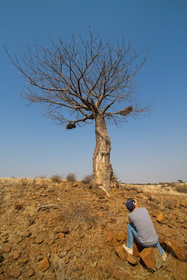 mashatu, photo workshop, c4 images and safaris,