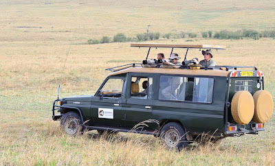 c4 images and safaris, masai mara, photographic tour, wildlife photographers, wildlife photography safari, shem compion,
